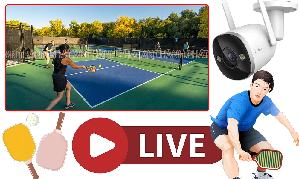giới thiệu về bộ môn pickleball